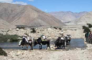 Kharta valley trek