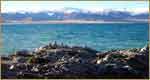 Namtso Lake Tour